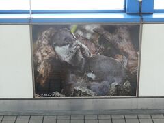 海遊館があるだけあって、通路にはカワイイ動物たちのパネルが展示してあります。