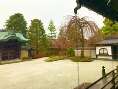 高台寺　方丈 波心庭

12月07日（火）　　

この枝垂れ桜が咲く頃は本当に綺麗なことでしょう！！
桜の季節に再訪したぁ～い！！

