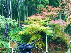 09:40　高台寺 恋人の聖地