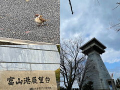 富山駅で荷物を預けて、岩瀬方面に向かいます。
まずは富山港展望台へ。

息を切らしながら上まで・・・