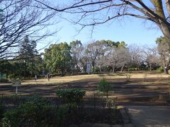 萩中公園