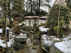 朝の公園の散歩は気持ちいいです。
この日は月曜日だったせいか人影はほとんどありませんでした。
うん、独占ですな。