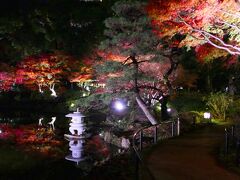 横浜公園の日本庭園エリア

※手持ち撮影のため、若干のブレはご容赦を
