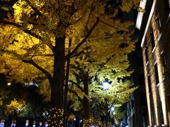 日本大通は相変わらずシック