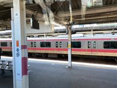 蘇我駅では京葉線の電車が停まっていました。
