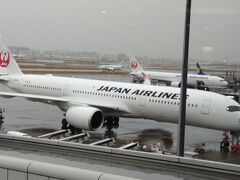 羽田空港国際線 JALサクララウンジ