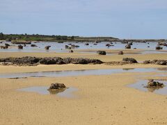 佐和田の浜

ここも明和の大津波ではこばれた巨石・奇岩が浜に転がっている