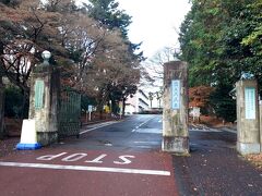 東京着いて最初の目的地は国立天文台