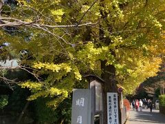 円覚寺から徒歩で明月院にやってきました。
途中も紅葉を見ながらの散歩。気持ちいい～