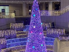 日にちは変わって
東京オペラシティに行った時に見た
吹き抜けに置かれたクリスマスツリー