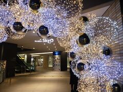 駅直結の商業ビル"スカイオ"に入ります。