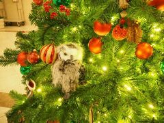 ロビーに飾られたクリスマスツリーが思いもよらぬ可愛さでした
（娘が発見）
オーナメントとして、何体もの森の動物たちが飾られています