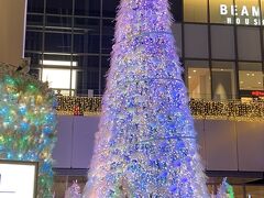 名駅のクリスマスツリーです。

