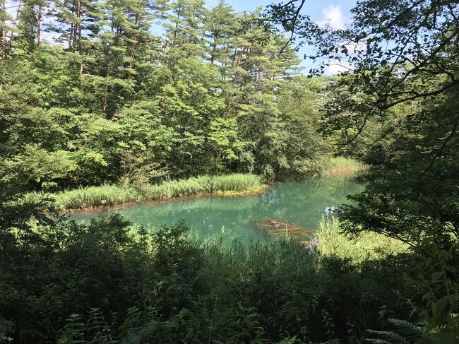 赤沼、緑色の湖水と赤茶色に鉄分が付着した水中の植物