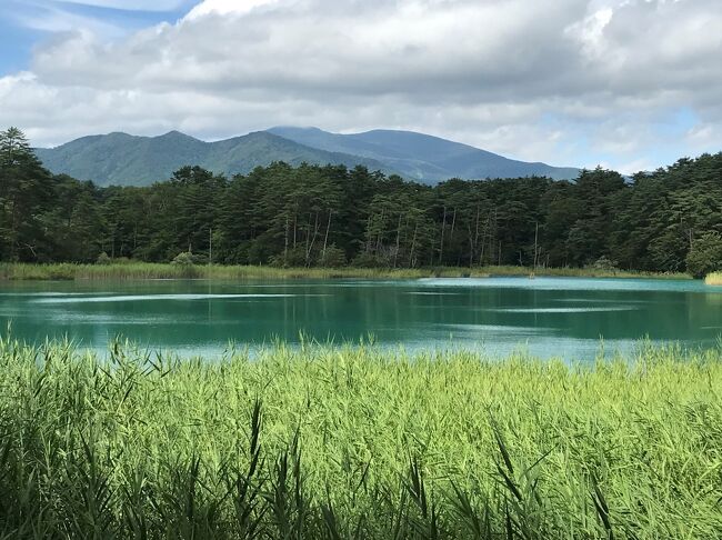 どうしてこんな色になったのでしょう