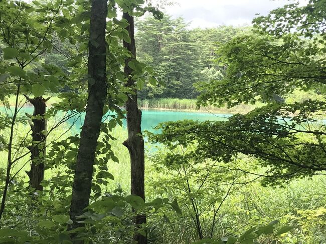 鮮やかな水の色