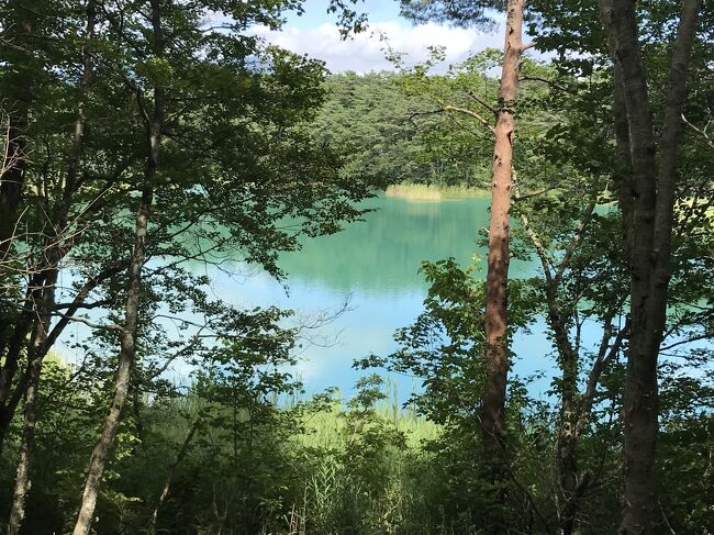 見る場所によって沼の色合いや雰囲気が変わります