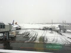 雪の新千歳空港
これまで何度かここに降り立ちましたが意外にも雪景色は初めてでした。