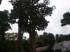 松島　瑞巌寺。
ここも母が行きたかったところ。厳粛な雰囲気です。
