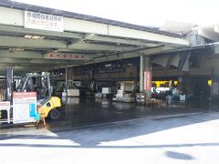今回は朝からお出かけ～

お昼は早川の小田原漁港にやってきました