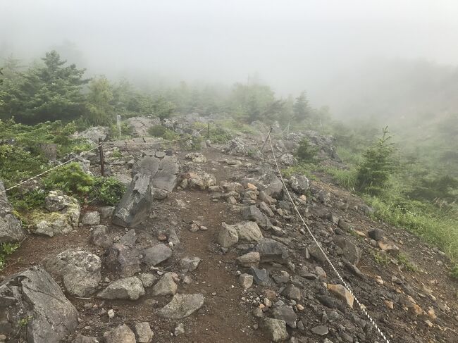 はじめは樹林帯の中のがれきが転がる登山道
