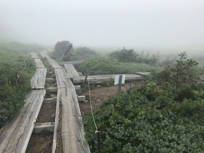 鎌沼方向との分岐が中間地点、山頂方向への道を選ぶと間もなく避難小屋がありました