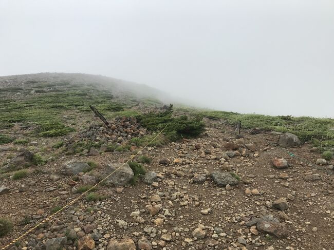 勾配が緩やかになって、植物もほとんど見られなくなってきました。頂上はもうすぐ