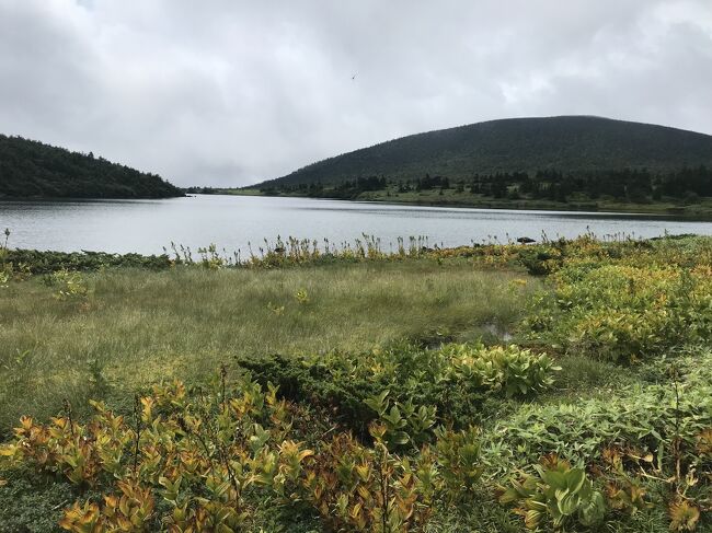 時期を過ぎて黄色くなった葉が目立つ湿原と鎌沼