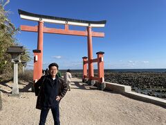 宮崎県では最後に青島神社に参拝することにした。

千畳敷の広がる海岸のすぐ脇に鳥居が立っている。