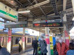 東京行きの電車でしたが、蘇我で途中下車。