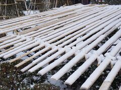 第1滝本館の植え込みは雪除けの準備が出来ていました。東京に住んでいるとなかなか見かける事のない雪除けです。