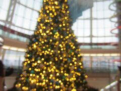 空港のツリーです。今日はクリスマス。