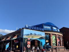 マーケットを通り抜けるとTwo Ocean Aquariumに到着です。
インド洋と大西洋の2つの海がある南アフリカなのでこお名前になりました。