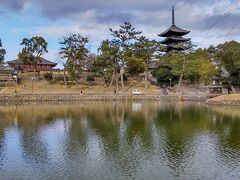 中谷堂を東へ上ると猿沢池にでます。
お決まりの興福寺五重の塔！