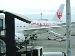 私たちが乗る飛行機。
エアバスです。