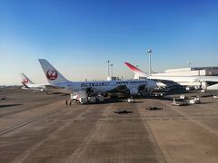 羽田空港に到着。
良い天気ですね。
が、乗り継ぎ時間がギリギリなのでのんびりしている時間はありません。
アナウンスがあったので飛行機を降りた後スタッフに声をかけ、急いで札幌行きの搭乗口へ向かいます。