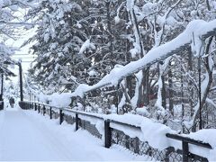 ちょうど雪が止んだので、吊り橋を渡って湧水口の所まで行きましょう。