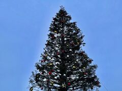 そして点灯前のクリスマスツリー。
すごく姿が美しいツリーです。

点灯が楽しみ☆彡

