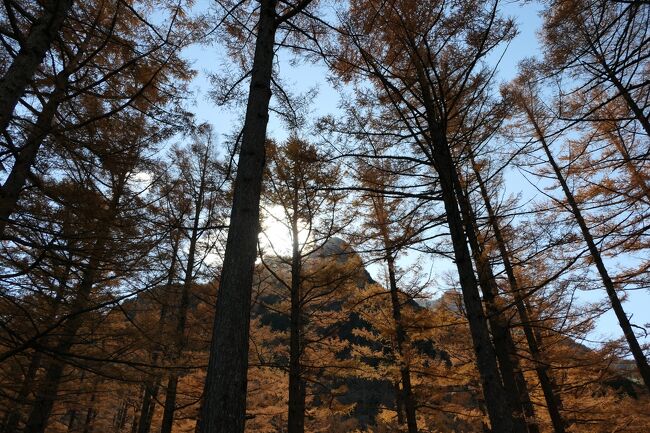 上高地　美しい小梨平♪
