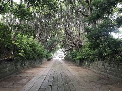 酒列磯前神社の参道