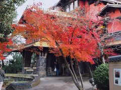 紅葉も綺麗でした。