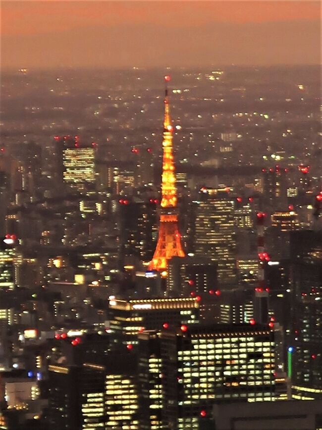 東京スカイツリー　扇子と手ぬぐい 東京ソラマチ店限定】お得な母の日おすすめギフト | 文庫屋大関