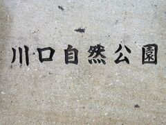 川口自然公園
この公園に、最後の期待を込めてやって来ました。