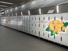 ●京都駅（八条口）

新幹線が関ヶ原を越えたあたりで目が覚め、定刻通りの８時21分に「京都駅」へ到着。

とりあえず身軽になるべく、駅八条口コンコースにずらっと並ぶコインロッカーに荷物を預けておきます。
繁忙期だけあってか、この時間帯でけっこうな数のロッカーが埋まっており、やっぱりスタートダッシュが重要だなぁと。