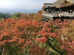 清水はひさしぶりでしたし、舞台が修理されてからは始めてです。ここにはさすがにたくさんの人がいました。

舞台から見ると紅葉の木々を上から見るような景色になります。市内の木々はまだ完全な紅葉にはなっていませんでした。上の方の葉から、色がついて行くのでしょうか。そのため、上から見るとすべて紅葉しているような景色に見えました。