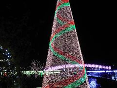 シンボル的な存在の大きなクリスマスツリー。