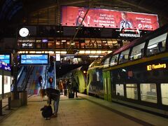 さてさて、この日はフランクフルトからの夜行列車に乗ってハンブルク中央駅にやってきました。