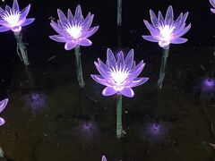 あしかがフラワーパークには1時間半の滞在。