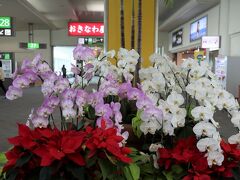 那覇空港に到着しました。たくさんのランの花々が出迎えてくれます