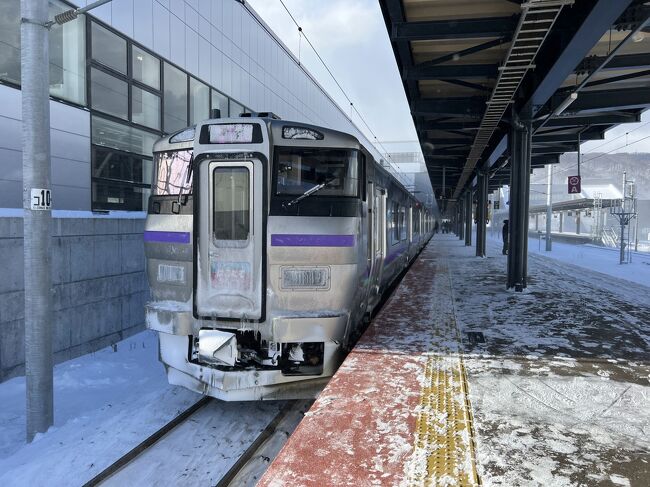 HOKKAIDO LOVE!6日間周遊パスで冬の北海道旅行 1日目 東京→函館』北海道の旅行記・ブログ by 迷い猫同好会さん【フォートラベル】